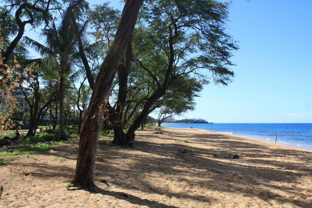 Ocean View One Bedroom At Honua Kai!! 라하이나 외부 사진
